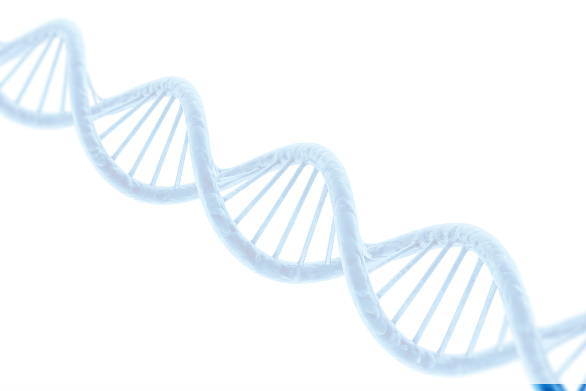 Microbioma Intestinal